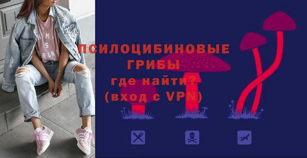 молекула духа Приозерск