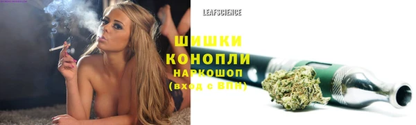 молекула духа Приозерск