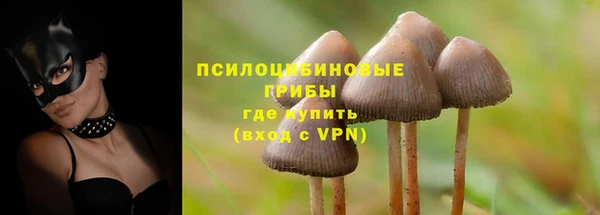молекула духа Приозерск