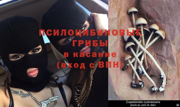 прущие крисы Протвино