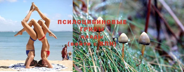 прущая мука Пролетарск