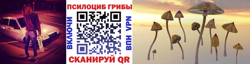 Купить  Урай  Псилоцибиновые грибы Cubensis 